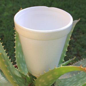 VASO TÉRMICO 300 CC, MANGA DE 25 UNIDADES