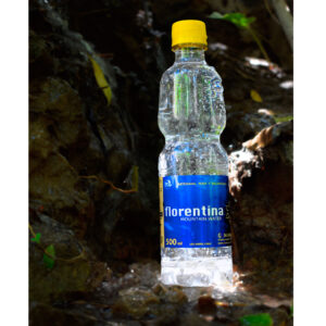 PACK DE 12 X 500ml SIN GAS